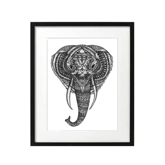Baby Elephant Head (PRINT)